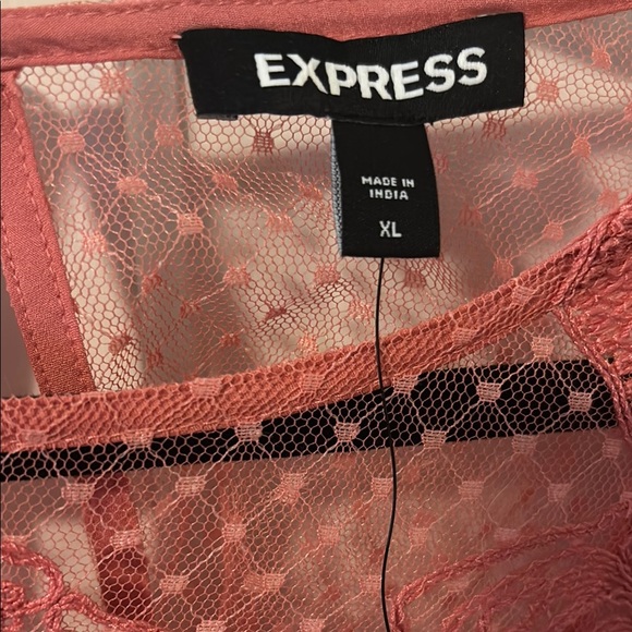 Express Pink Sheer Ruffled Blouse - Picture 2 of 3